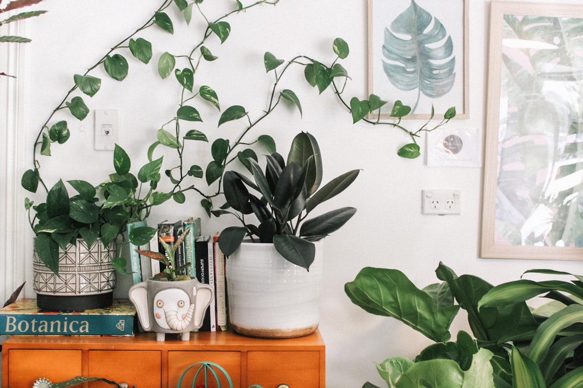 Signature Smart Home Bundle Showcase #38